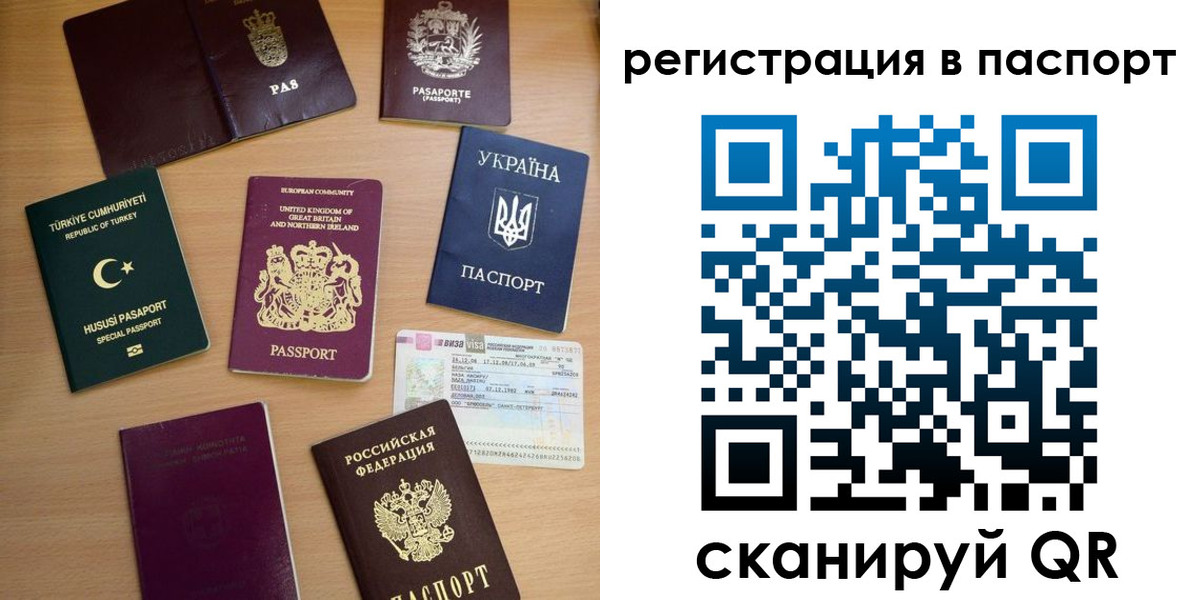 прописка поиск в Тимашёвске